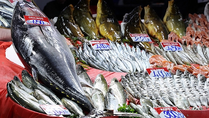 Elazığ'da Dev Orkinos Balığı!