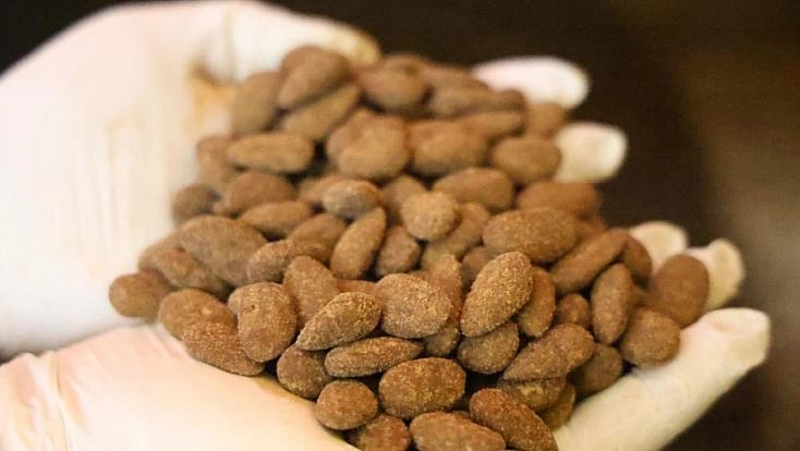 Elazığ'da Kahveli Badem Şekeri Üretildi