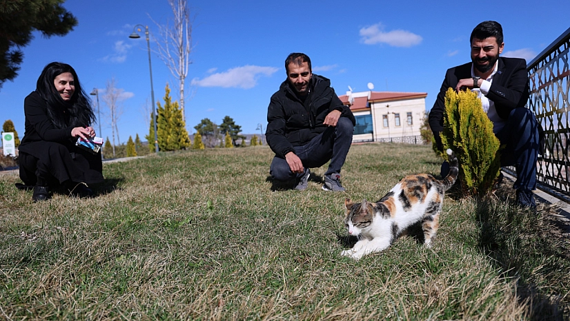 Elazığ'da Gördü, Romanya'ya Götürdü