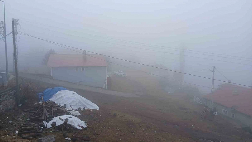 Posof'ta yoğun sis etkiliyor oluyor