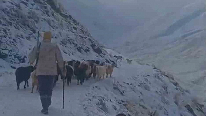 Ağrı'da kar ve tipi hayatı durdurdu