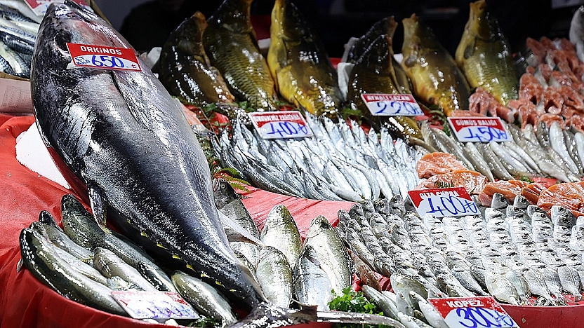 Elazığ'da Dev Orkinos Balığı!