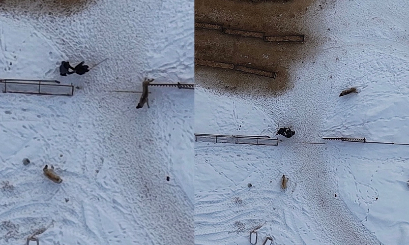 Doğaseverlerin Zor Anları!