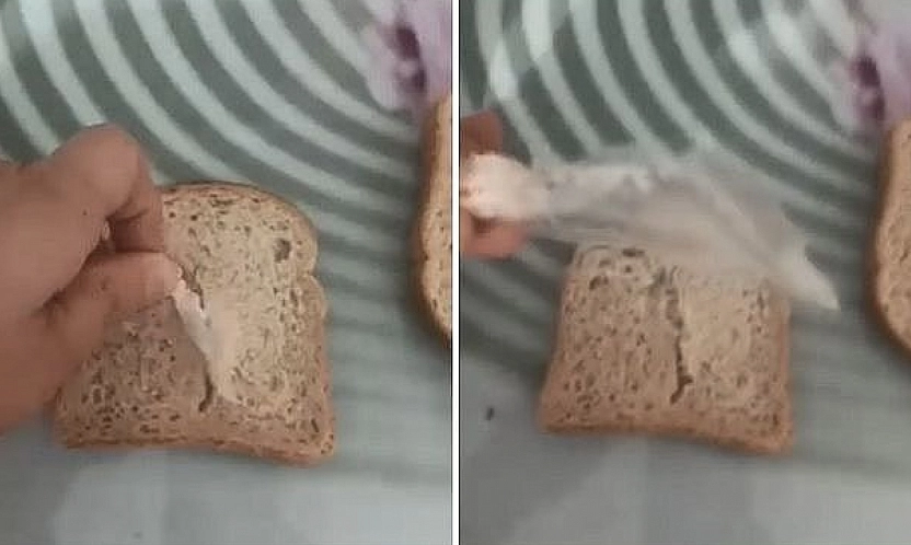 Ekmeğin İçinden Bakın Ne Çıktı?