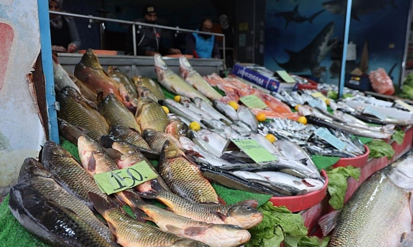 Elazığ'da Balığa Rağbet Arttı