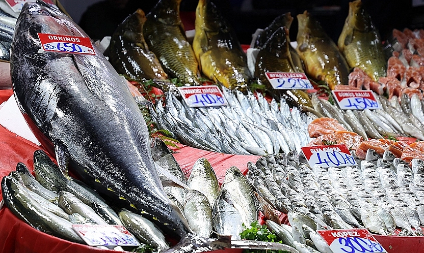 Elazığ'da Dev Orkinos Balığı!