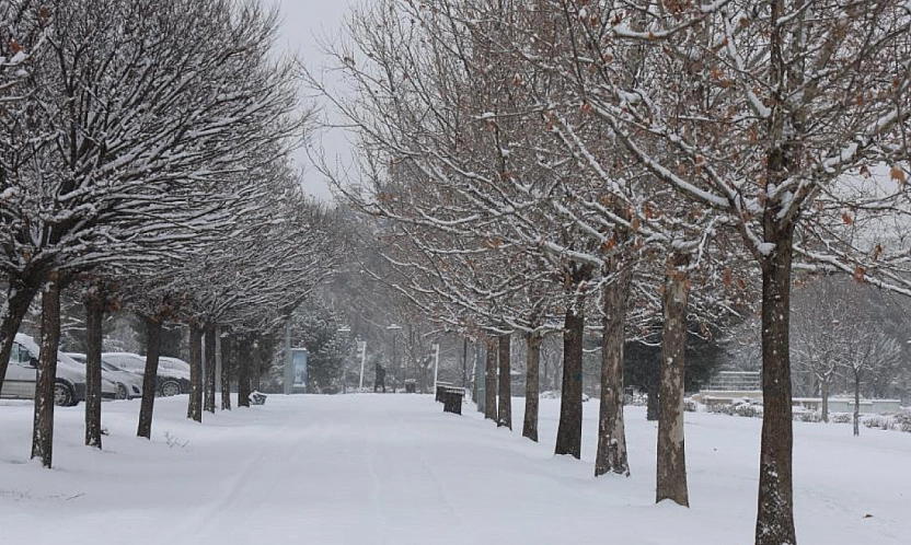 Elazığ'da Kar Yağışı Etkisini Sürdürüyor