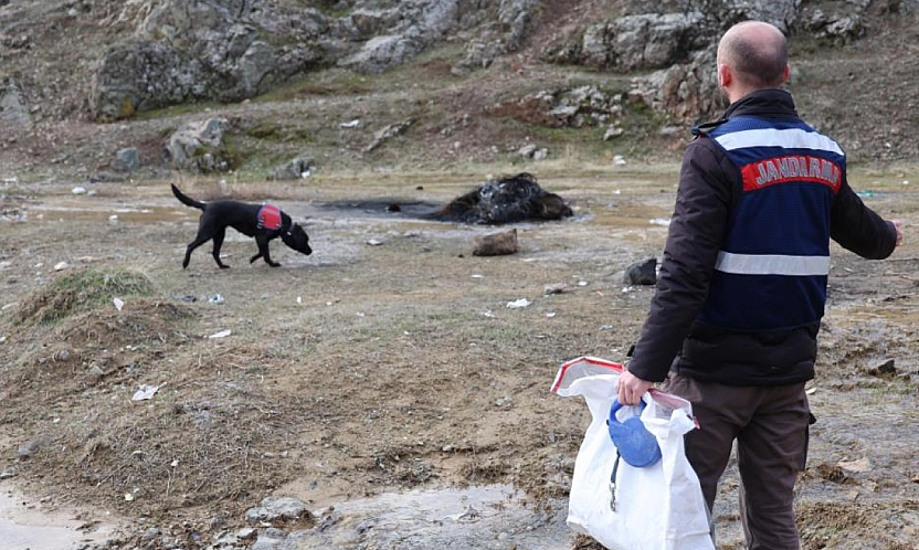 Kayıp Yaşlı Adam İçin 'Salkım' Sahada