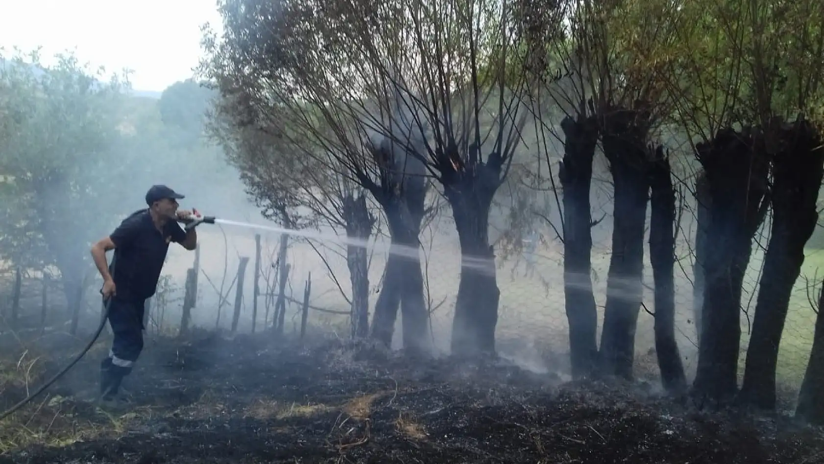 Bingöl'de anız yangını ağaçlara sıçradı 