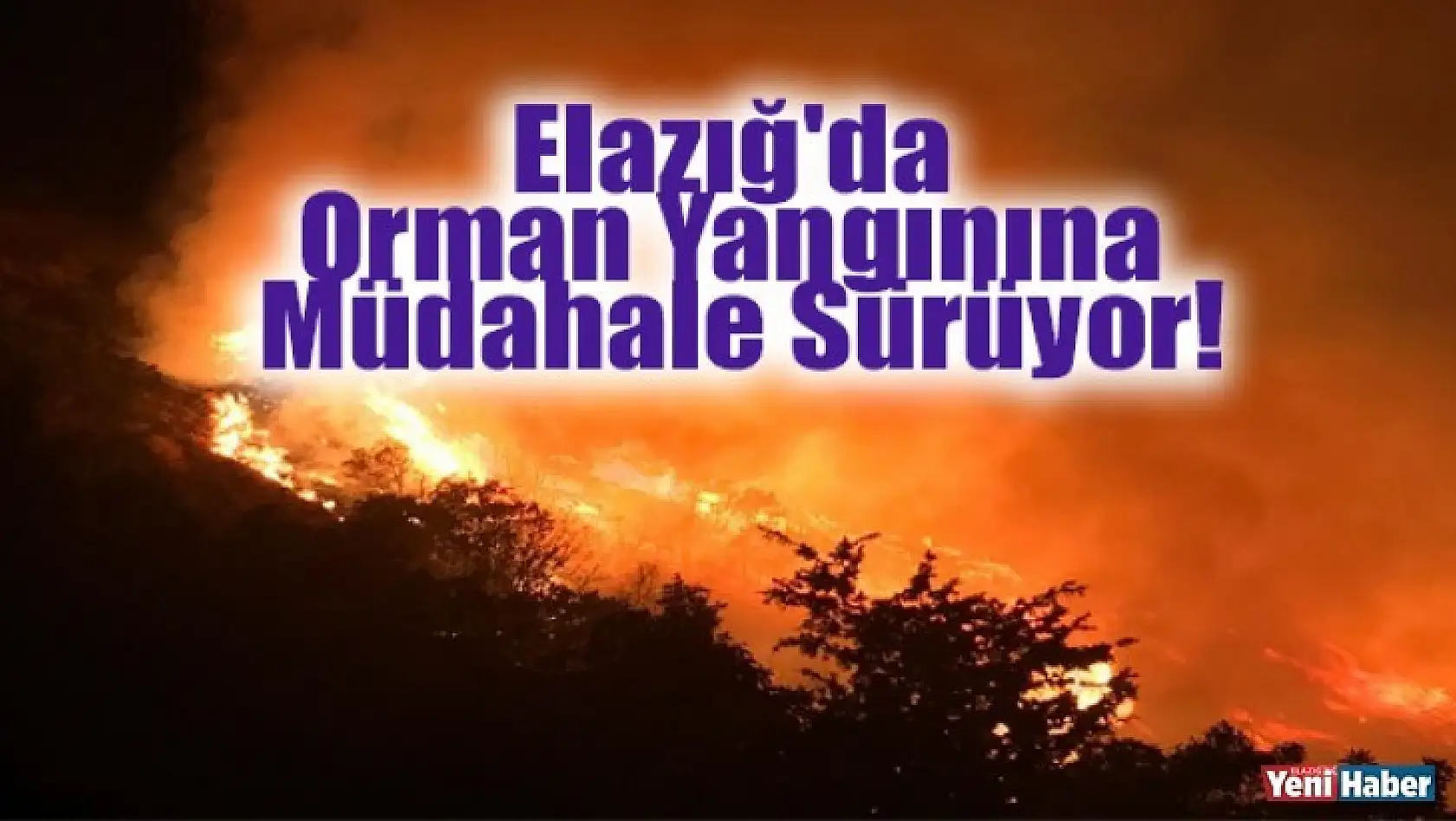 Elazığ'da Orman Yangınına Müdahale Sürüyor!