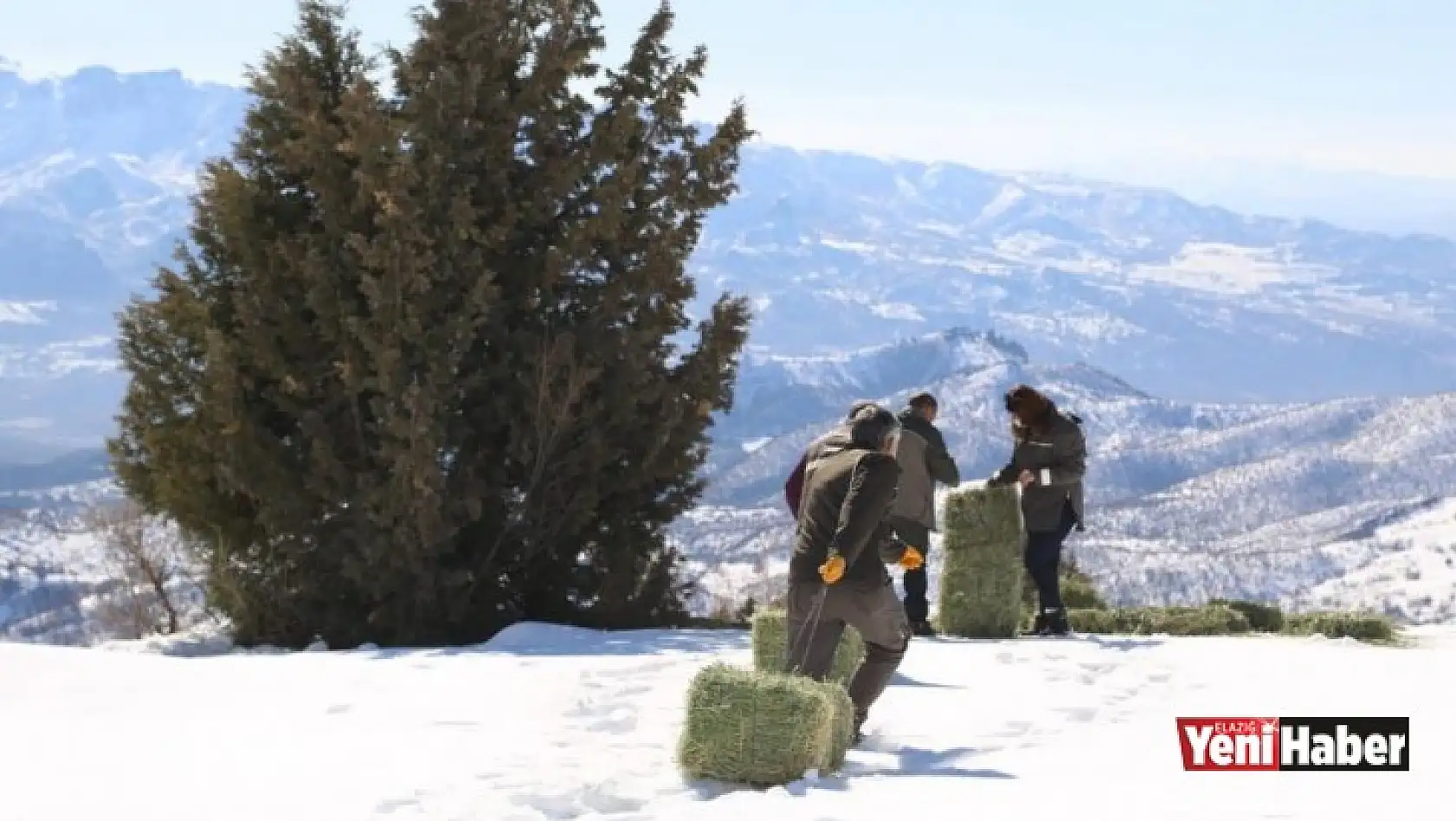 Tunceli'de Yaban Hayvanları Unutulmadı