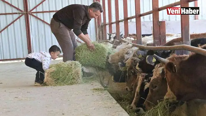 'Hayal bile edemezdik' diyen muhtar, TKDK'dan aldığı destek ile köyünü tavuk ve besi çiftliğine döndürdü