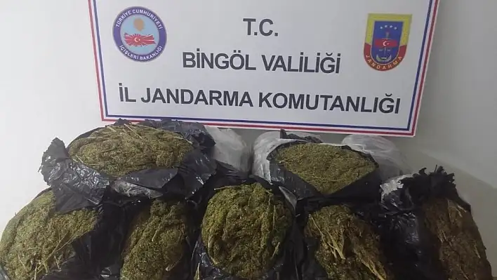 Bingöl'de 24 kilo esrar ele geçirildi 