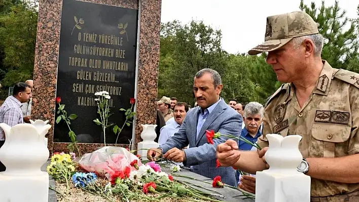 Vali Sonel 'Milletimiz bir demokrasi destanı yazdı' 