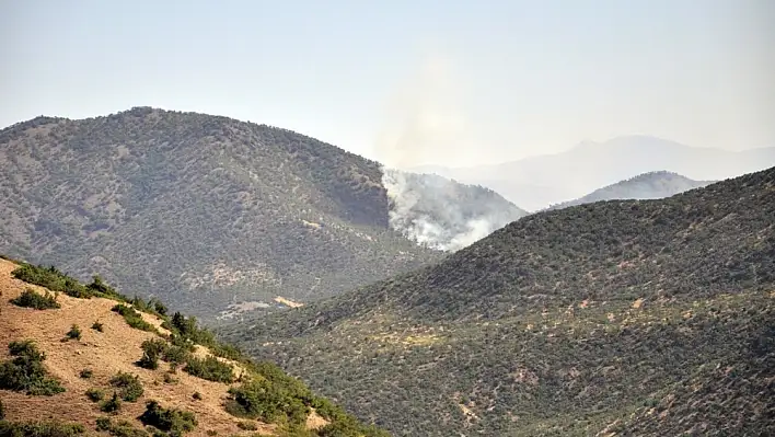 Tunceli'de otluk alanda başlayan yangın ormana sıçradı 