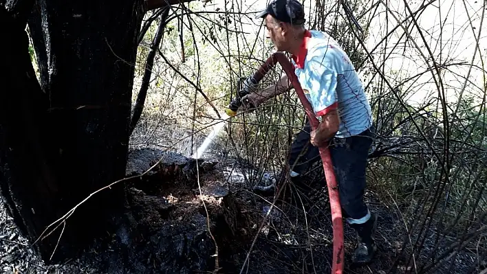 Otluk yangını ağaçlara zarar verdi 