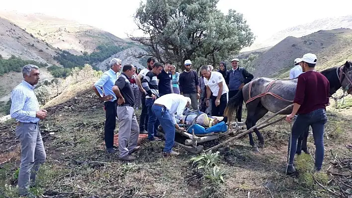 Eşekle uçuruma yuvarlandı, 112 ekipleri kurtardı 