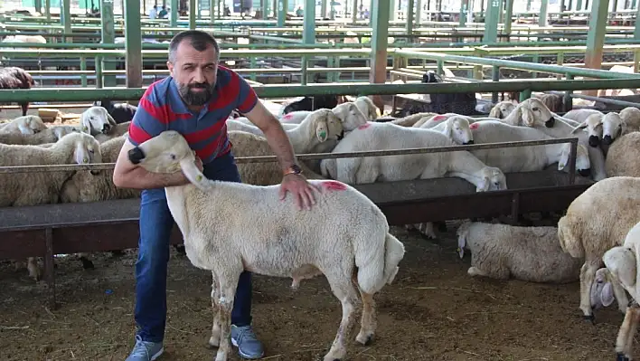 Birlik Başkanı Akın canlı hayvan pazarını ziyaret etti 