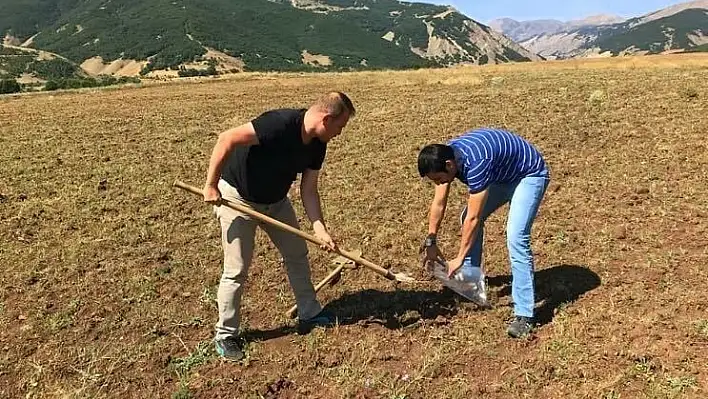 Bingöl'ün toprak haritası için 280 numune alındı 