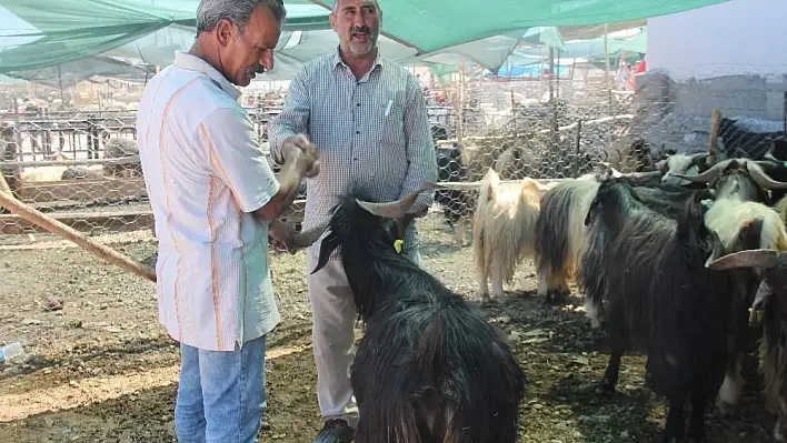 Kurban pazarında yoğunluk 