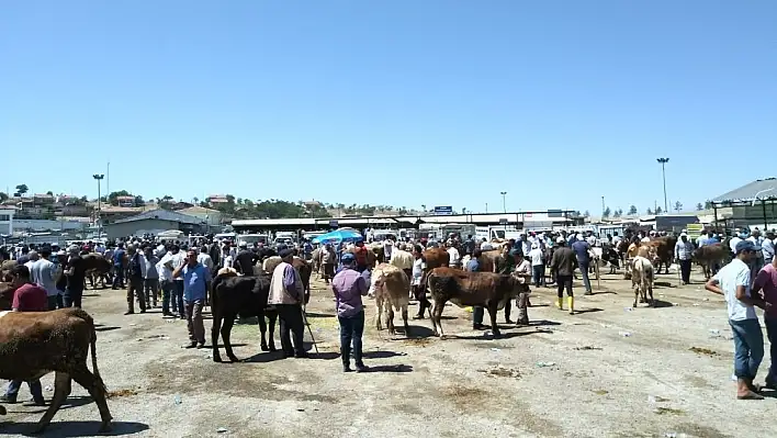 Malatya hayvan pazarında arefe yoğunluğu 