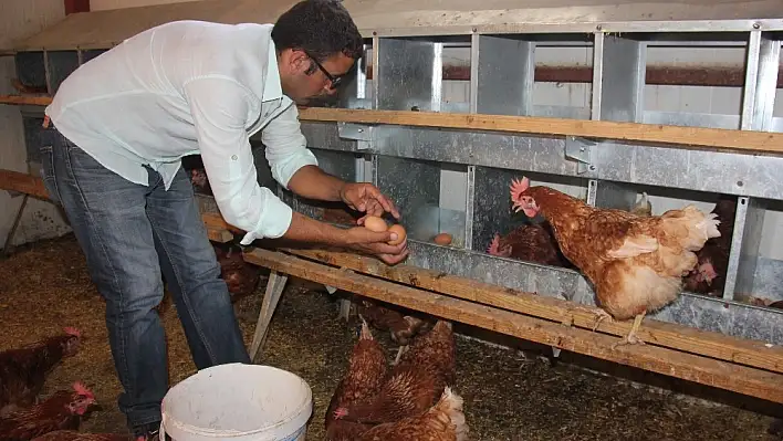 Medyada haberlerini gördü, devlet desteğiyle çiftlik kurdu 