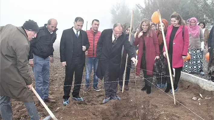 Elazığ'da kadınlar ve engelliler fidan dikti 