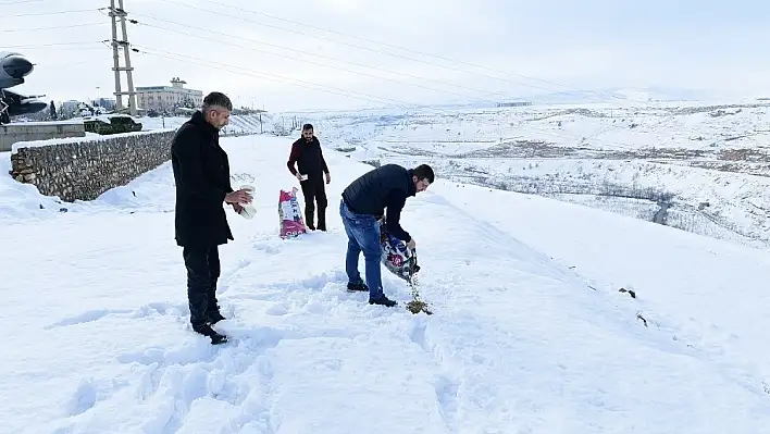 Sokak hayvanları ve kuşlar için doğaya yem bırakıldı 