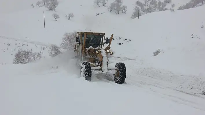 Bingöl'de 39 köy yolu kar nedeniyle kapandı 