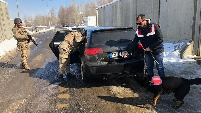 Bingöl'de çeşitli suçlardan yakalan 27 şüpheli tutuklandı 