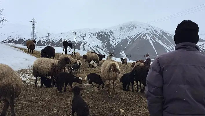 Bu kış onlar için zor geçti 