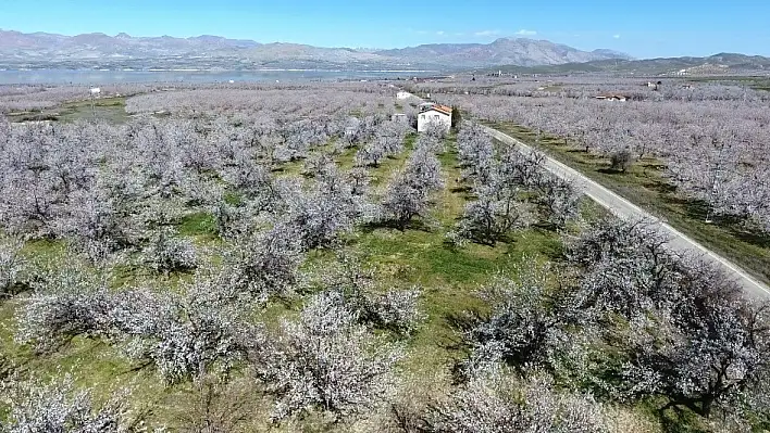 Malatya için zirai don uyarısı 