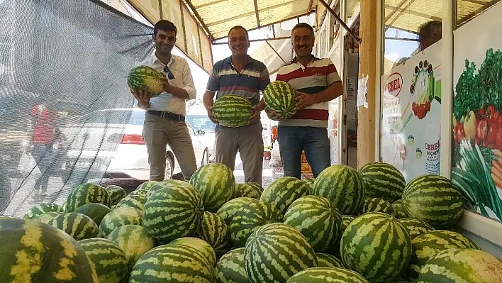 Köylerde üretilen karpuz tezgahlarda yerini aldı 