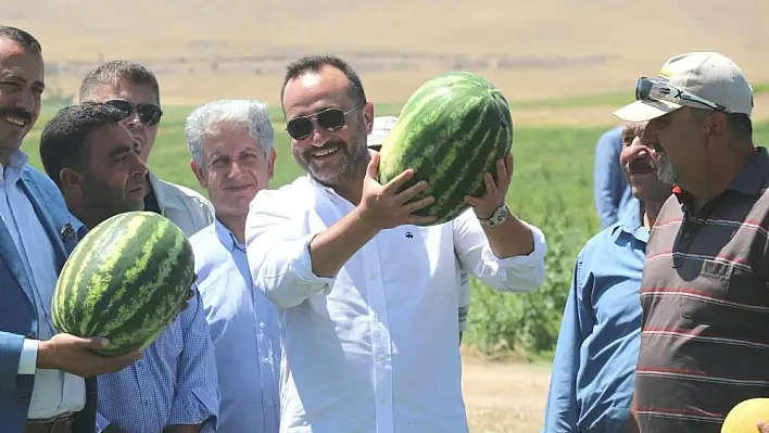 Milletvekili Ağar, Tarlada Karpuz Hasadı Yaptı