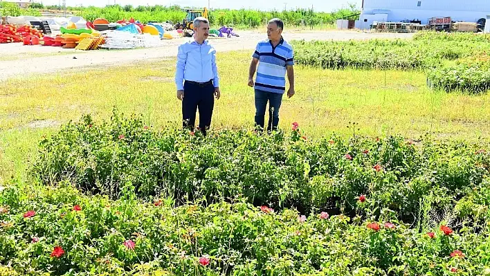 Başkan Çınar, fidanlık alanında incelemelerde bulundu 