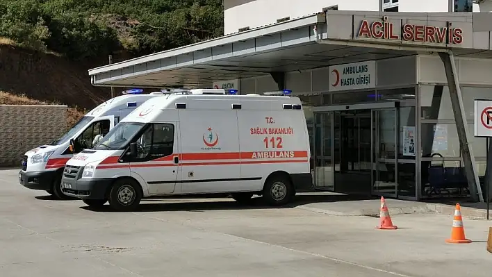 Tunceli'de kaza: 1'i ağır 2 yaralı 