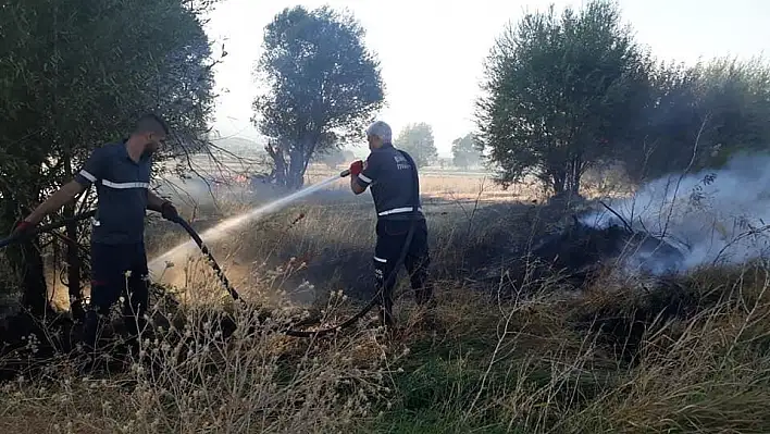 Bingöl'de yangın,ağaçlar zarar gördü 