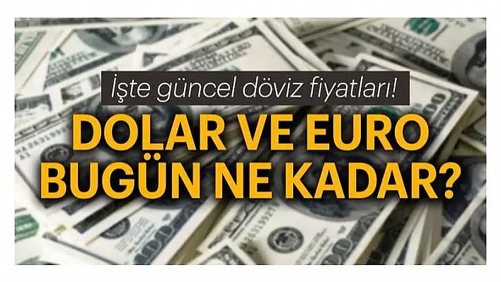 21 Kasım 2019 Döviz Kurları!