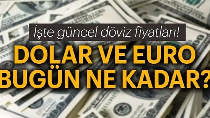 22 Ocak 2020 Döviz Kurları!