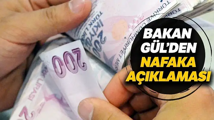 Bakan Gül, Gerçekten Eziyet!