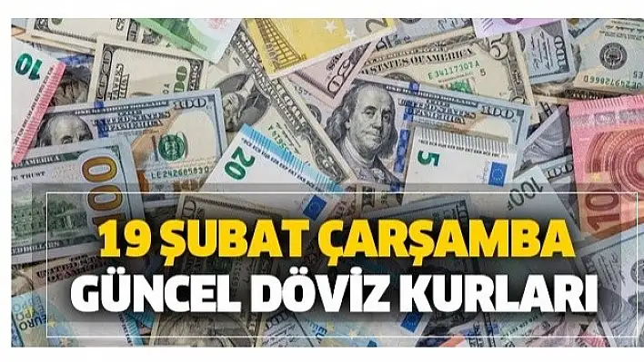 19 Şubat 2020 Döviz Kurları!