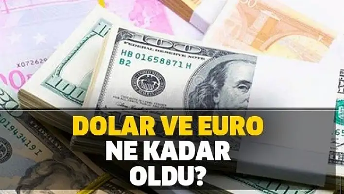 20 Şubat 2020 Döviz Kurları!