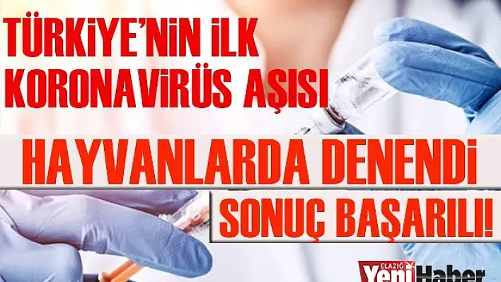 Ateş Kara Müjdeyi Verdi