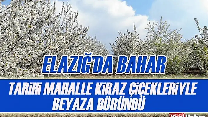 Elazığ'da Bahar