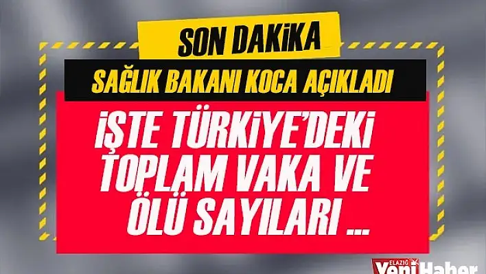 İşte Ölü ve Vaka Sayıları