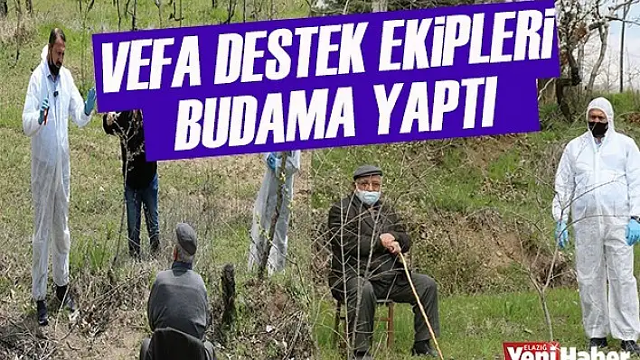 Vefa Ekipleri, Budama Yaptı