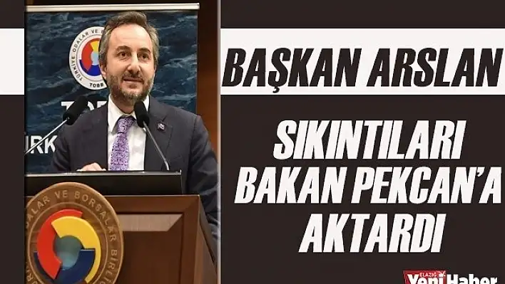 Başkan Arslan Sıkıntıları Bakan Pekcan'a İletti