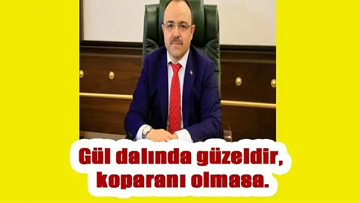 Lütfen Valiliğe Çiçek Göndermeyin!