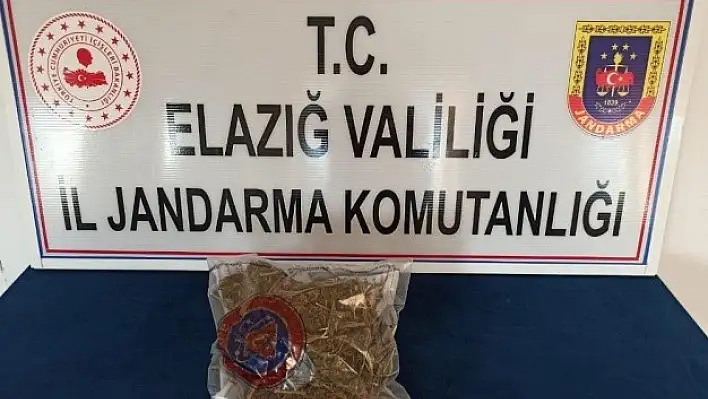 Yolcunun Çantasından Yarım Kilo Esrar Çıktı