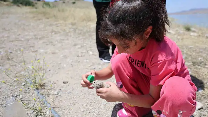 8 yaşındaki kızın, susuz kalan martı yavrusunu kurtarma mücadelesi yüreklere dokundu